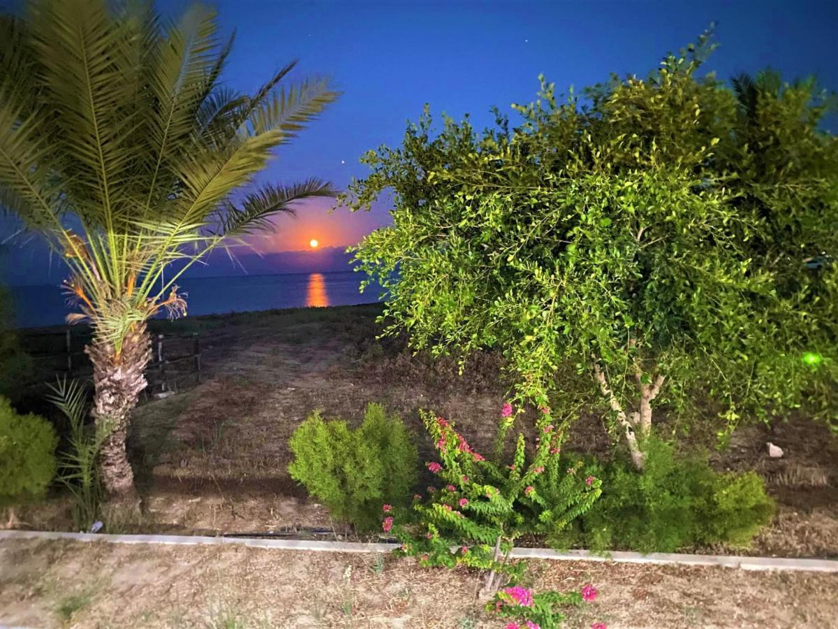 Paradise Karpaz Hotel & Restaurant Rizokarpaso Bagian luar foto