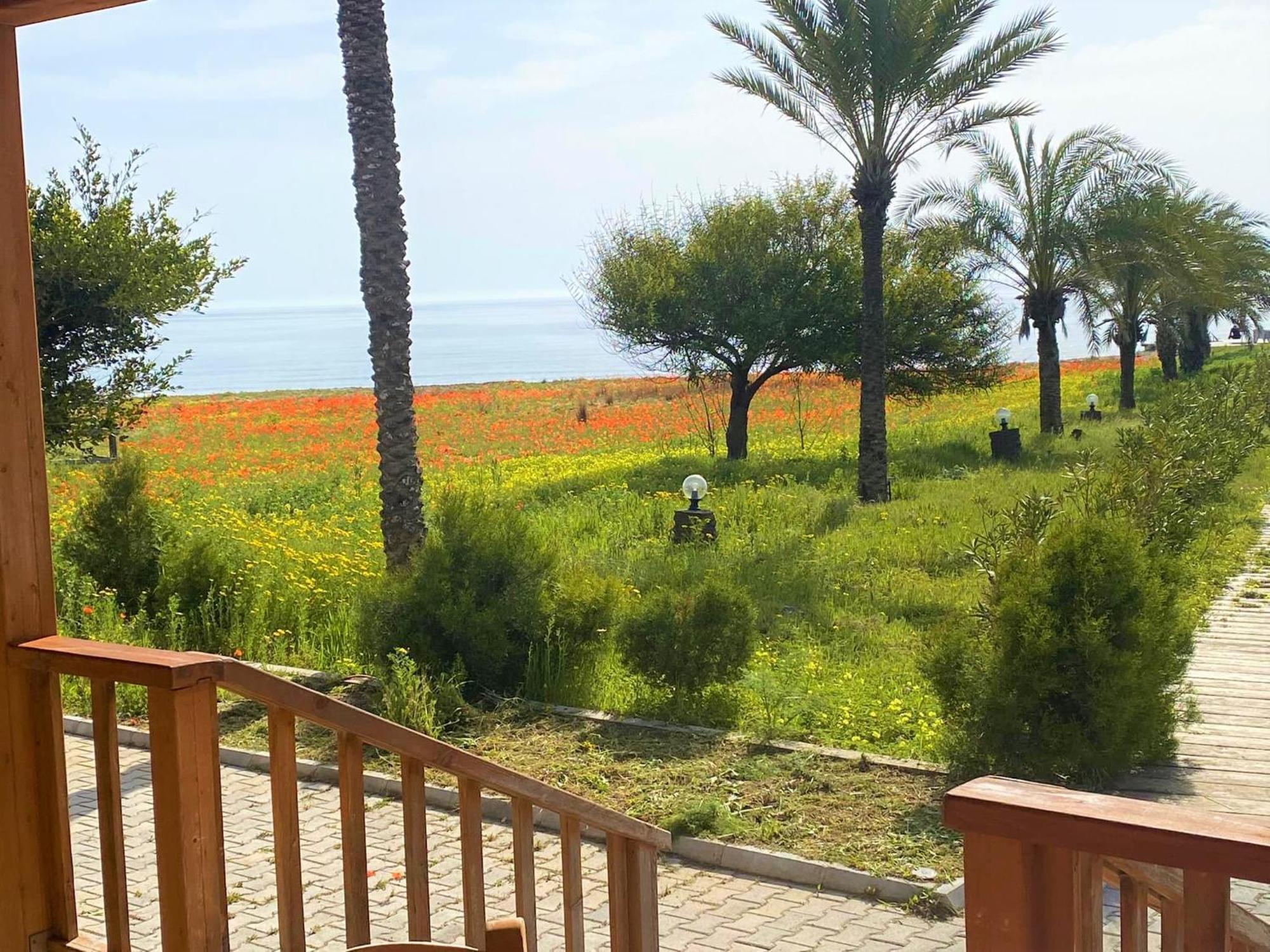 Paradise Karpaz Hotel & Restaurant Rizokarpaso Bagian luar foto